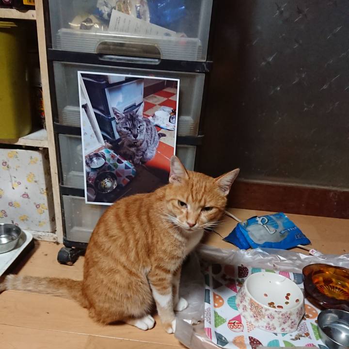 7ebb0b5d 82b4 4558 8a8a 34d0bc463027 1599856584215