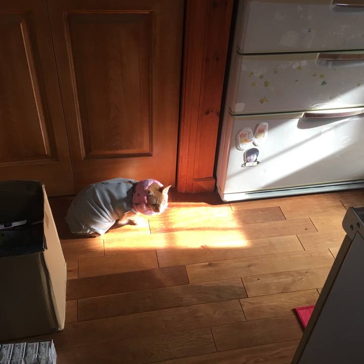 7ebb452d 2b64 4401 84d6 c40475aa9e15 1527373632905