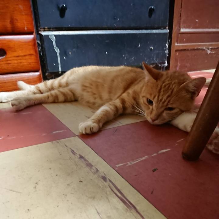 7ebb6d21 45f7 4acc a374 9d785e68c9ba 1564488783167