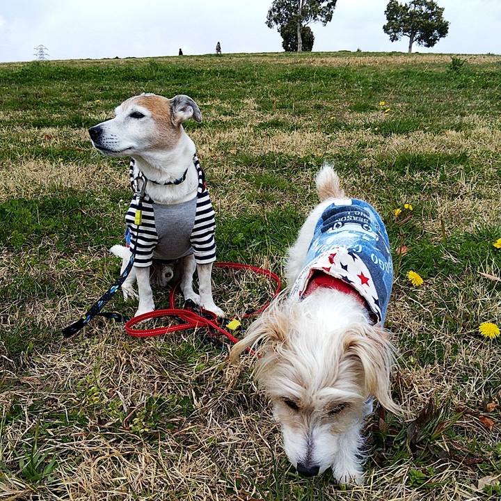 7ebb80dd 1c03 4b43 a3ba 04592103fc83 1584251971011