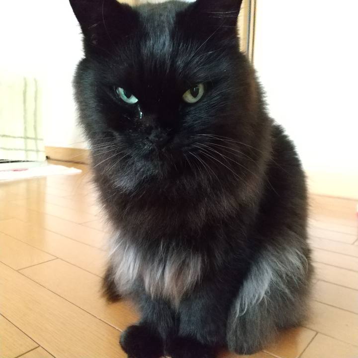 7ebba91a 3731 480e bf7a f46ae05a4f80 1590618611227