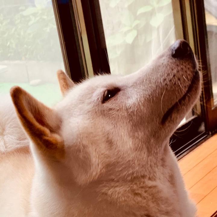 7ebbbcad c95c 4225 979c 756d45620c08 1567809082898