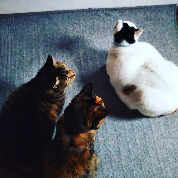 7ebbc677 ba31 4584 a4a7 2665c33bf6bc 1604764079084