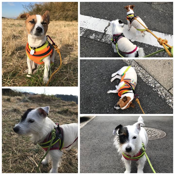 7ebbc7a8 c3ff 4139 bafd 18d912d46cd8 1513817574837