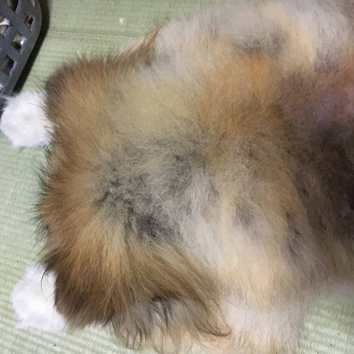 7ebc426e 98be 43a5 bf6e 9a1f9a628f11 1611120148249