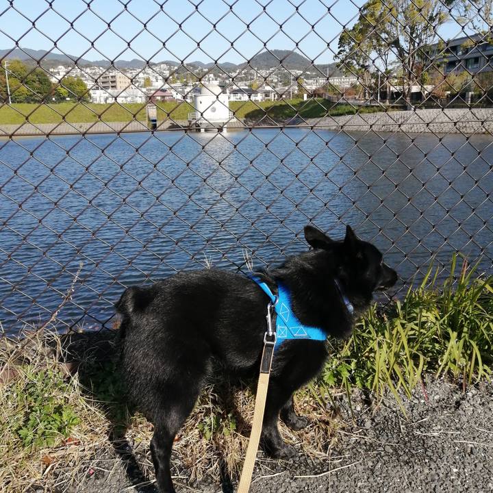 7ebc4a57 32ac 45d5 b04c a2ba73af54b2 1604363418589