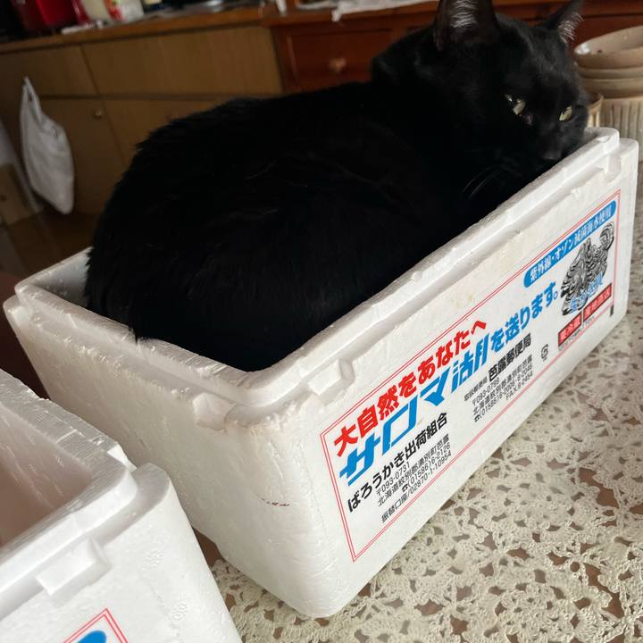 7ebc750e b429 490a 9911 2879095de92e 1738451373882