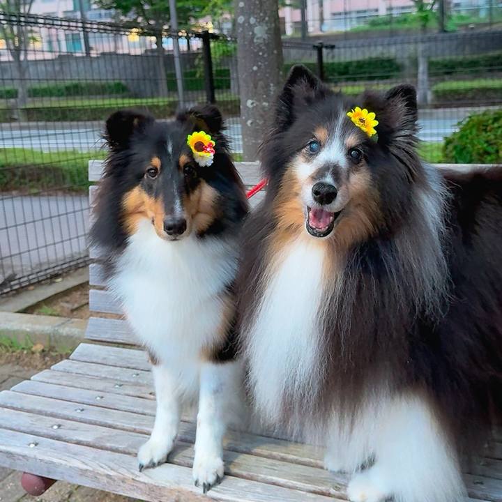 7ebc9d36 61b1 4c21 932e 45870d88ff1f 1749749180877