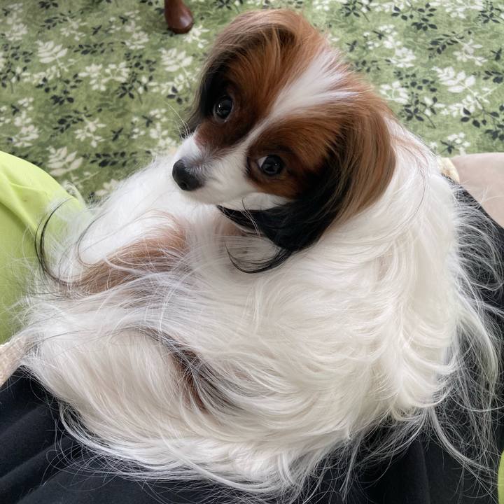 7ebca6bf 02b8 4cec 9c9b 26f81c05e249 1646701023449