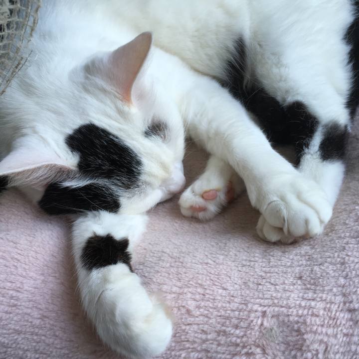 7ebcb895 6214 47cd bafa 4b2d1d19bf92 1558925491966