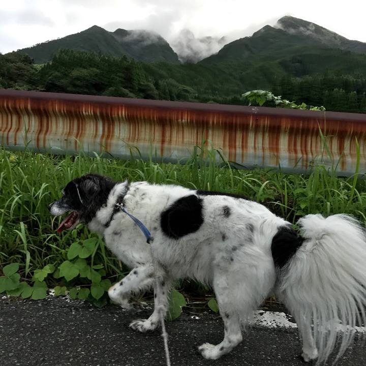 7ebcd1e2 ba2c 42f0 8dd3 abf8a1e86aa4 1534816304369