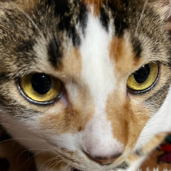 7ebce6b3 9d2e 41aa ab5d fdd039f7fde6 1731763734492