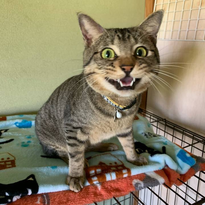 7ebd1e3c 3a65 48f8 8d9a 7f0630a799b0 1599300308515