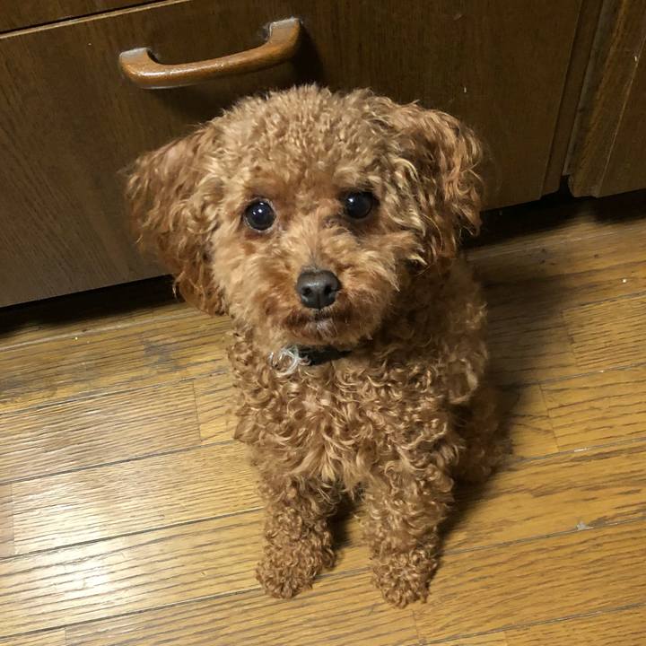 7ebd56d2 aa54 4563 a59b b125ce8165f8 1524958477741