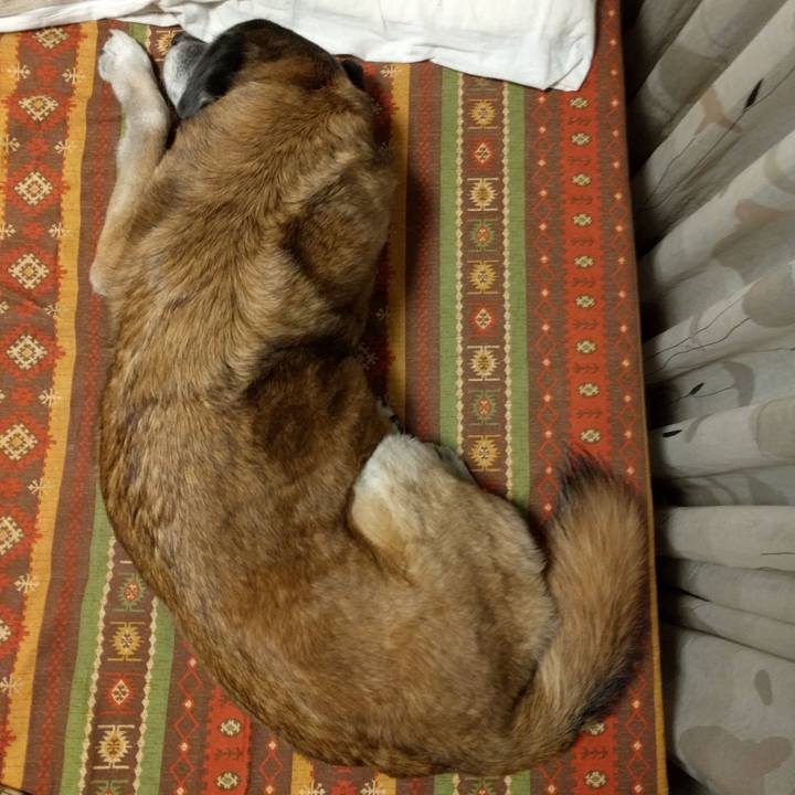 7ebd980f 2b1e 4f1e 88cf 8f048a9686d4 1520467664462