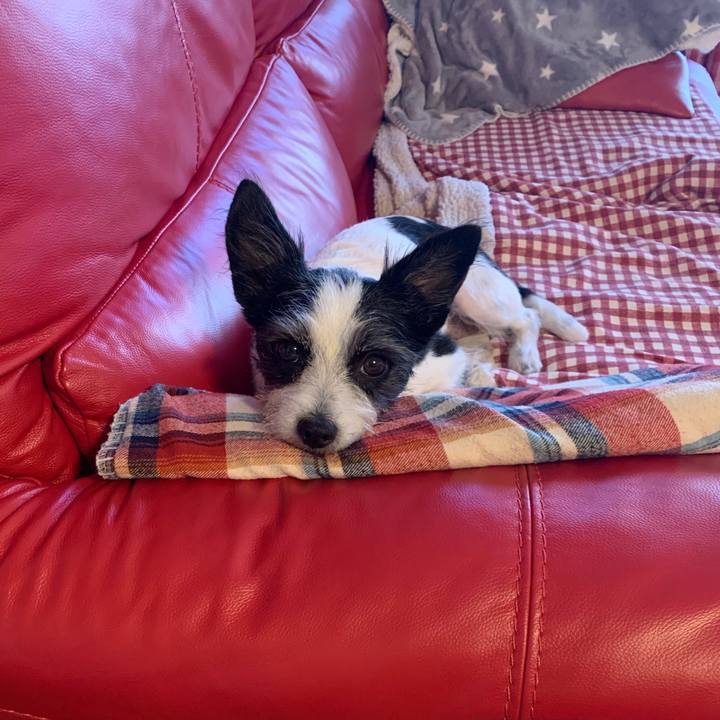 7ebdaf2e 817e 4376 ab47 b77beb6a2446 1632401417628