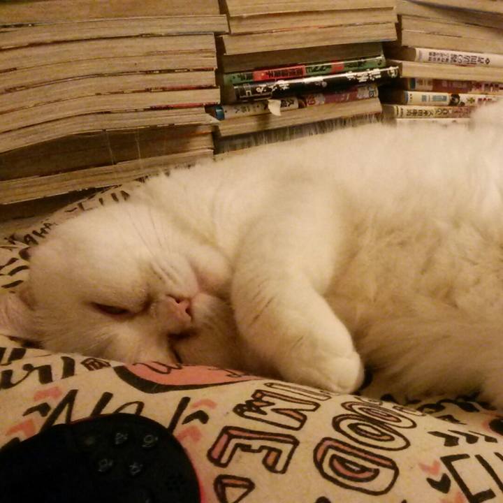 7ebdca52 836e 4b10 bd6f 985e93666197 1509371323167