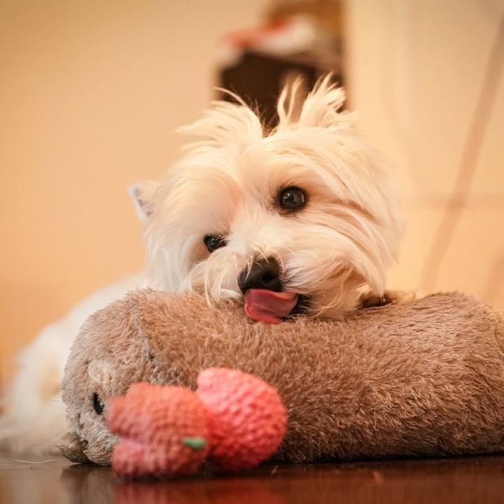 7ebdcfb8 6479 4c63 998c 5c64fb319519 1524014797004