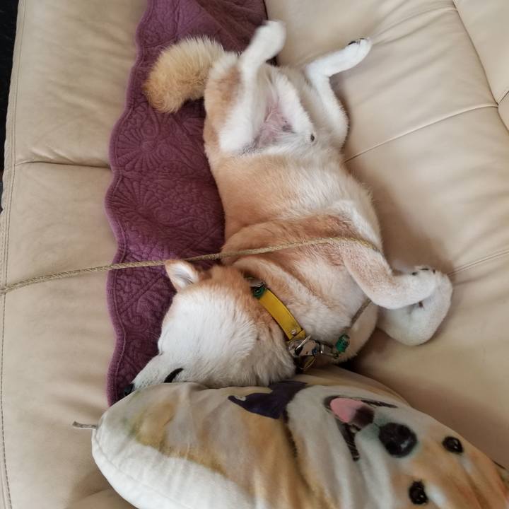 7ebddc32 5ffc 4a39 967e 96fd08c3da23 1691729316199