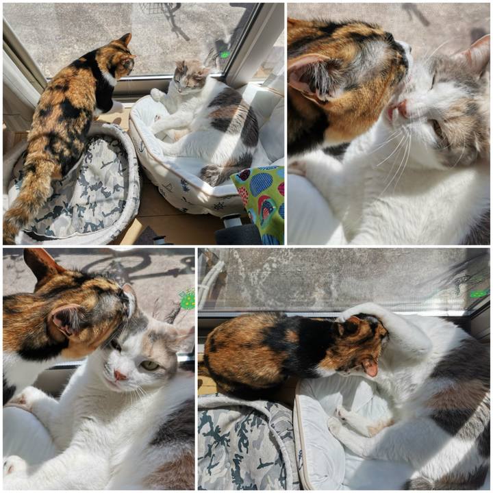 7ebe0723 35cf 4b7d 9b9c d00feb3f41aa 1653968598145