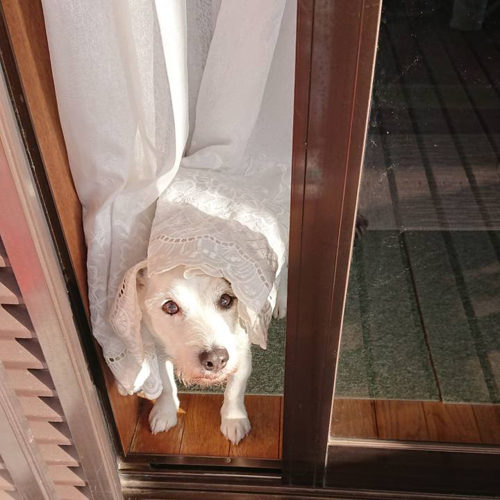 7ebe507f c63a 49f9 9409 1d48f103dbd7 1586136908937