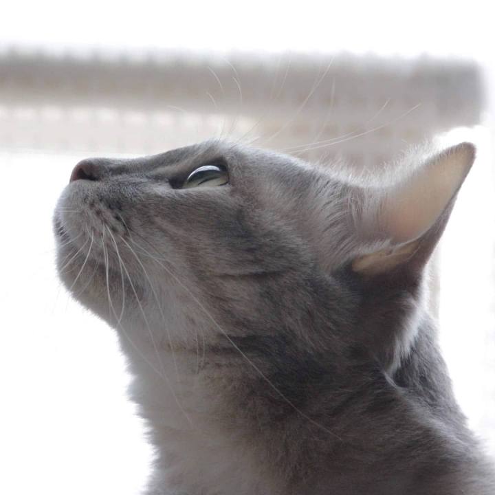 7ebe576c 0535 4944 95c8 9777484ee825 1580022646848