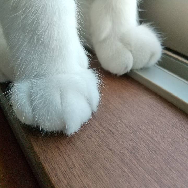 7ebe5f6f 1788 4c7d 8fd5 35bbf5b7fa99 1649369398673