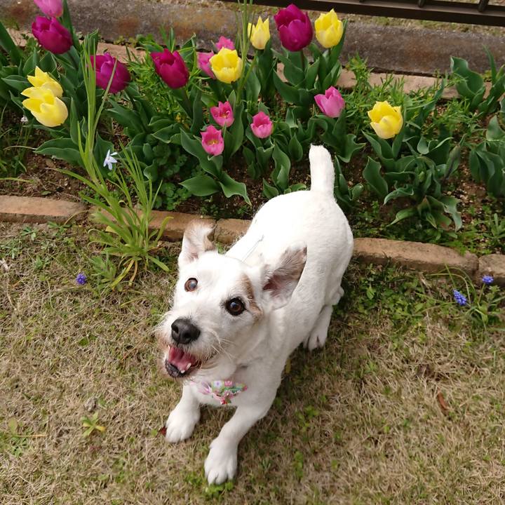 7ebe82ea 7bc9 48e1 b1a2 1e7ad41c7e6b 1585004474448