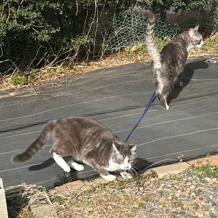 7ebe8628 c74f 47f8 9240 b8a92671edaa 1770258762914