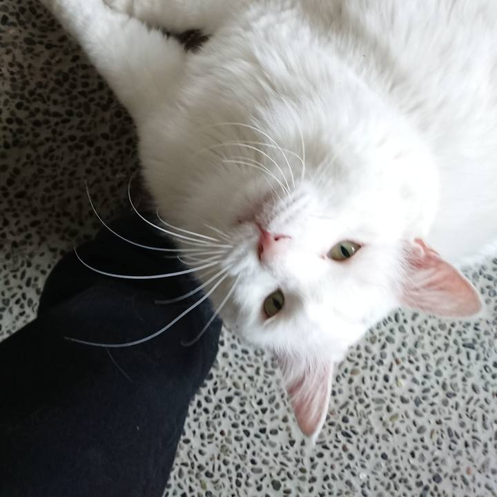 7ebec04c 271e 40a6 a5f1 a4eebb231a6b 1536209758350