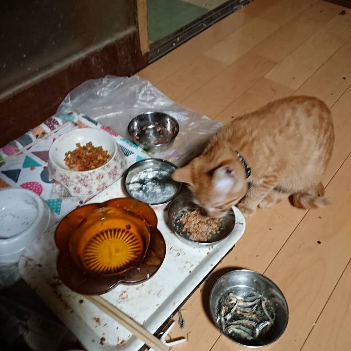 7ebec30b 2d06 4b16 be3f b7ba0cc3dc29 1634331176306