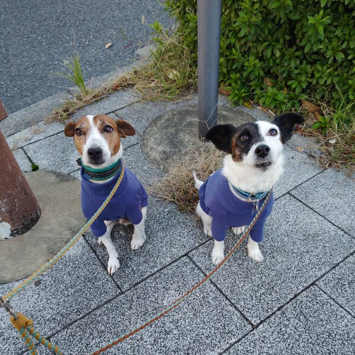 7ebee079 e102 49c4 a704 ac274d479cab 1731967361968