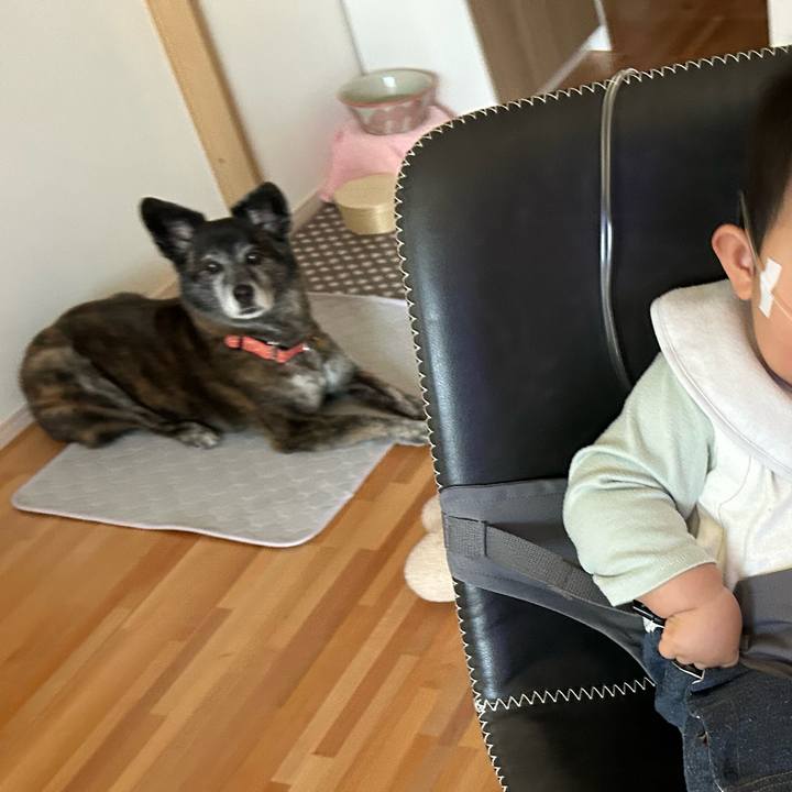 7ebee706 e32d 4695 a7b5 c7ed92820167 1718841313210