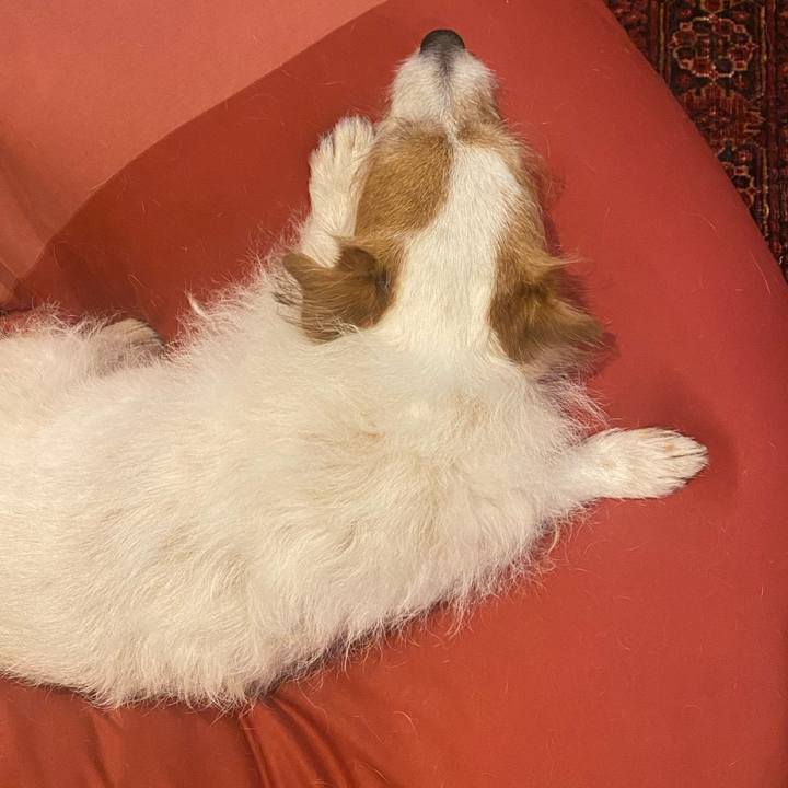 7ebef6cd 7917 4983 9440 ab191f117b0f 1730211856867