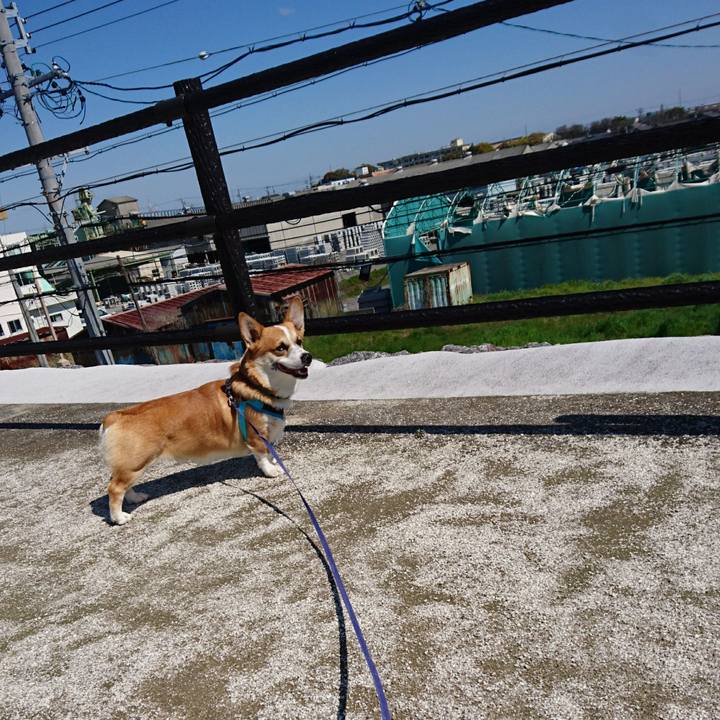 7ebf0ac9 107c 4617 a38c 33d6e3345a03 1586832486471