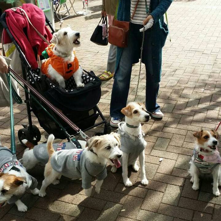 7ebf2563 7305 4e11 978d 23fd68bb8498 1540698513903