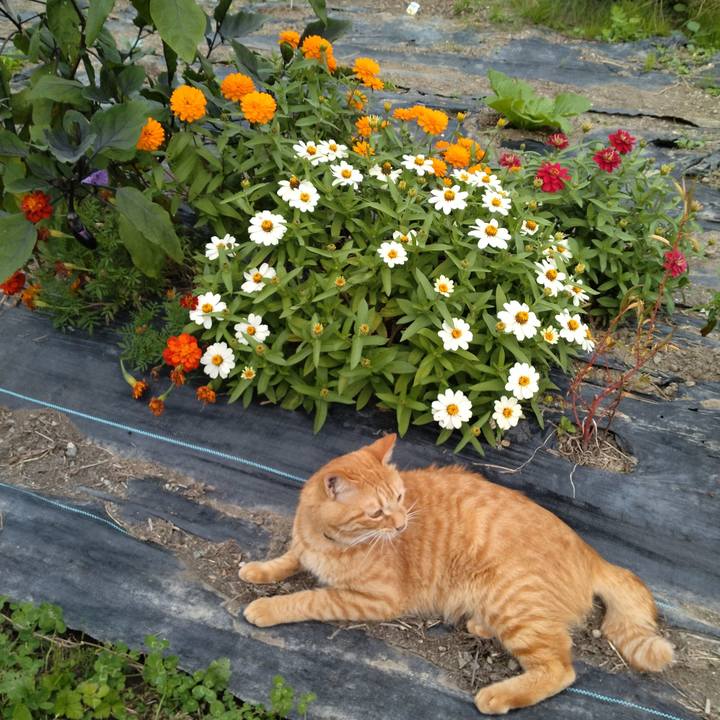 7ebf2dc4 f4ba 4b10 aa0f f6fce65493ff 1664787015577