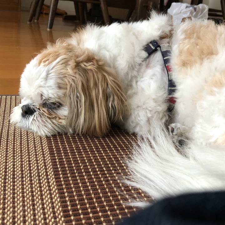 7ebf49d0 1068 42fe 9447 0070914abdcd 1526248368886