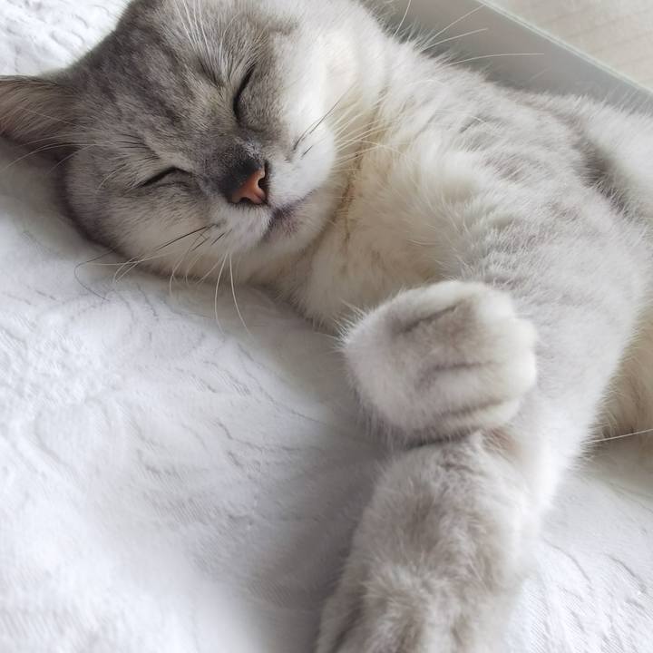 7ebf6eba 4454 46a7 bf42 36995bc869ff 1535168738190