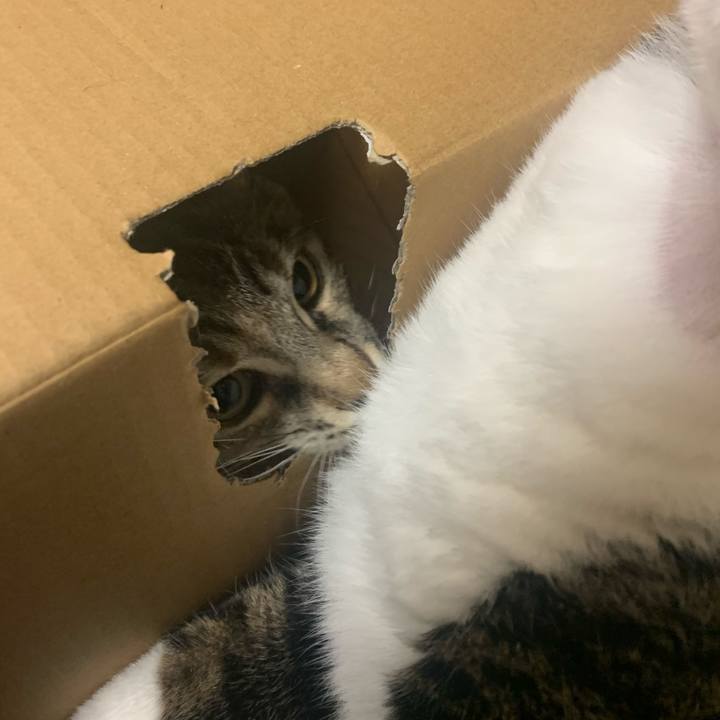 7ebf790b c44d 4080 ada9 11ee5bc31531 1596947441126