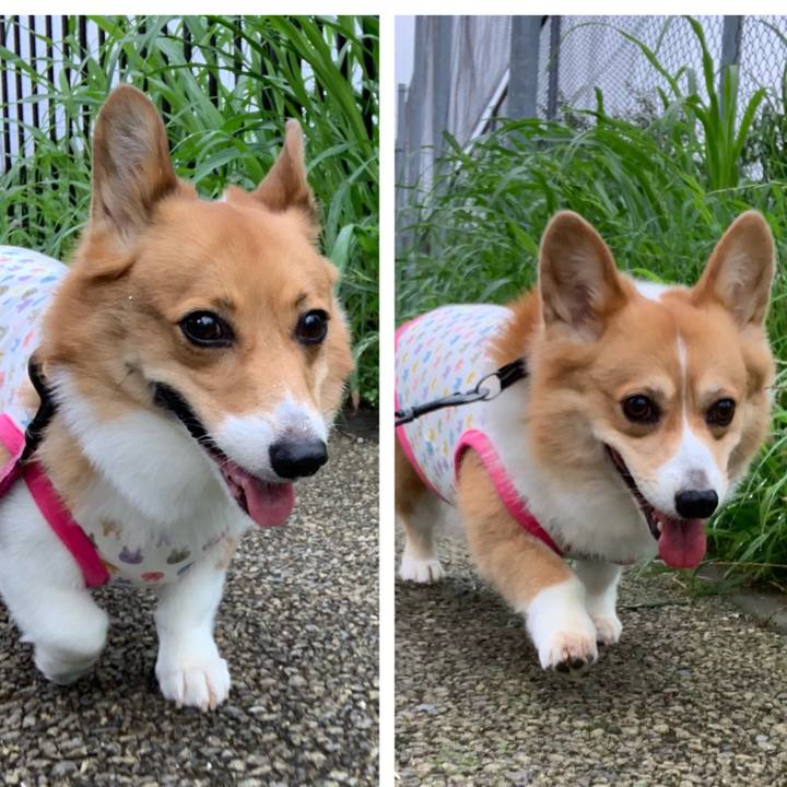 7ebf7a14 d66b 4b0c 99a6 d4770b059530 1563792651317