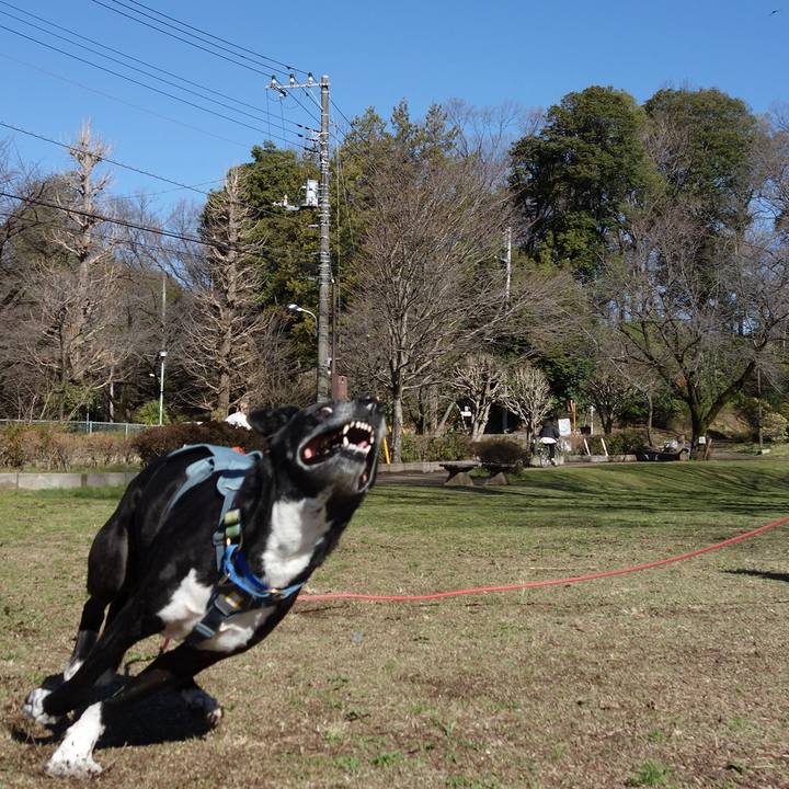 7ebf80da 4d0d 4ad7 b757 121e83e194d4 1711501013428