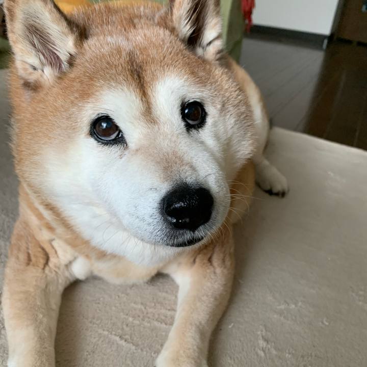 7ebf80fa 39d9 46a2 8e5a 7c8600f446da 1593213780432