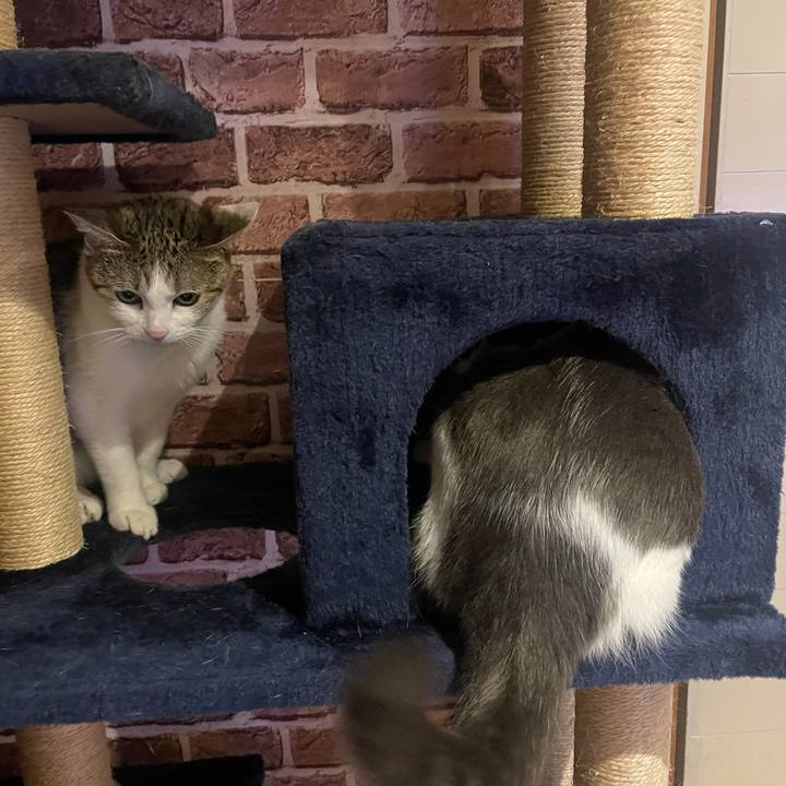 7ebf8ec4 4a52 4ae8 8e02 6784543caaf9 1634812421221