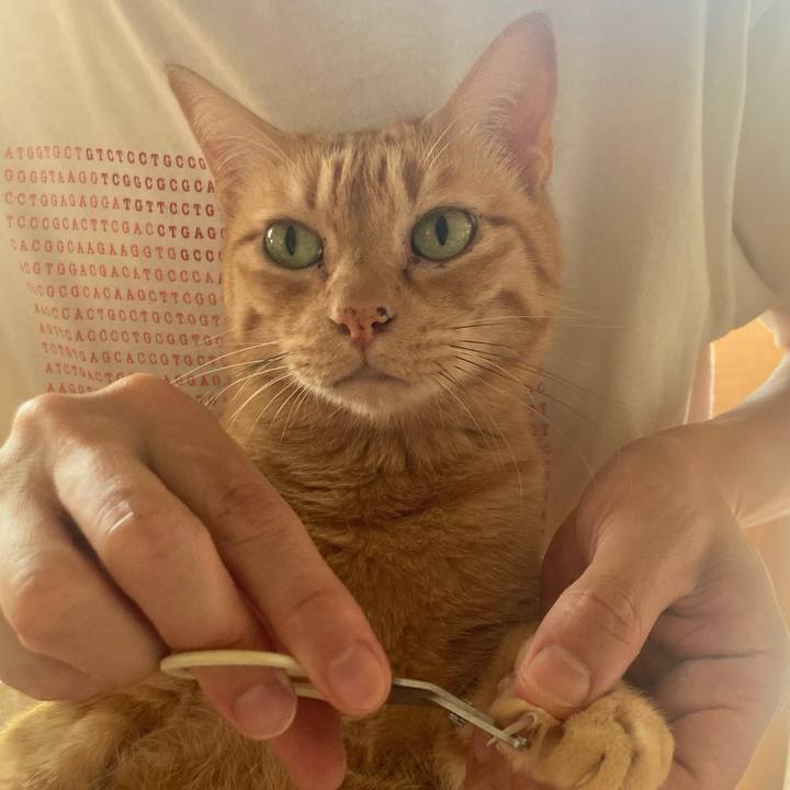 7ebf9d59 0995 4170 a6d1 170203056f4c 1757506868916