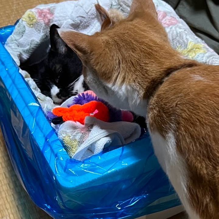 7ebfa2ea 1ee2 4bbf 87f9 32bc29b1dee2 1756039806518