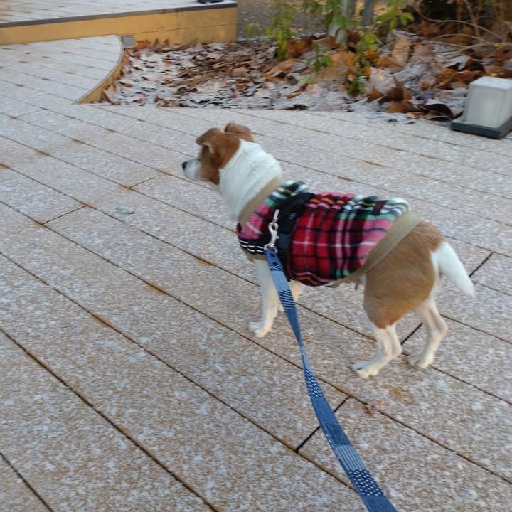 7ebfe97e 672d 4a9f 9f07 746d701a9cb1 1766792239615