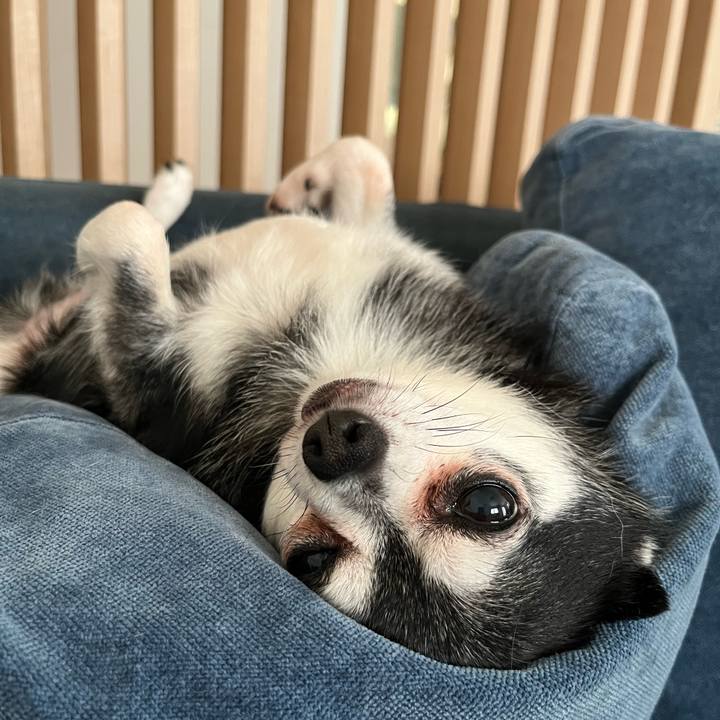 7ebfea60 bd2e 4f6b b9a0 8b90e9a826bc 1754879849453