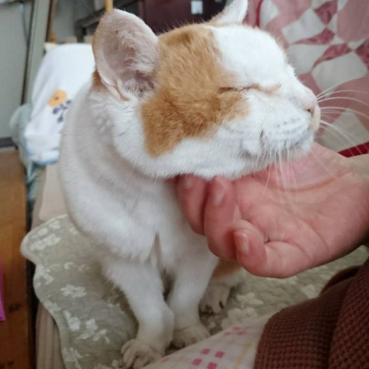 7ec06030 97db 4619 8531 17c3ddd90bac 1556667675272