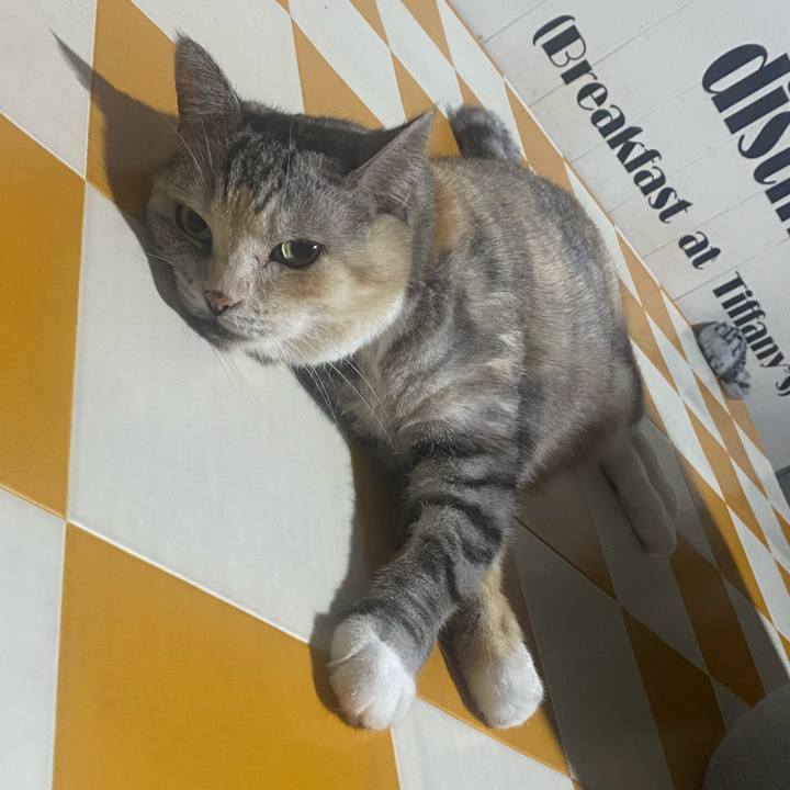 7ec068db 1c9d 406e a401 a7607410a33e 1724124666112